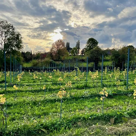 Huisxi Bed & Breakfast Eys