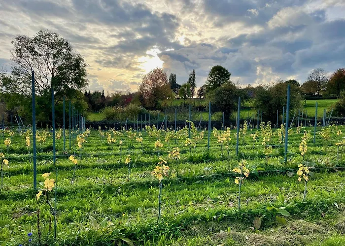 Huisxi Bed & Breakfast Eys